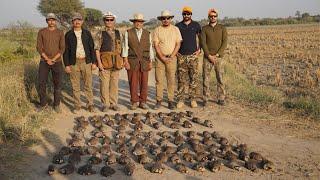 Red-legged partridge shoot’23 at Sindh Valley Safari.