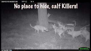 No place to hide, Killers  Eps 2