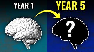 How Years Of Language Learning Affects Your Brain