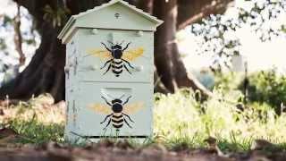 Check out this custom-painted Hoop Pine Flow Hive