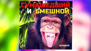 ЗООПАРК   FolkRock-Leo Shenk & Co cover Гражданская Оборона Е.Летов#зоопарк#летов#rotanito