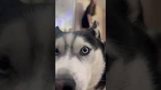 Секреты счастливых отношений #счастливыелюди