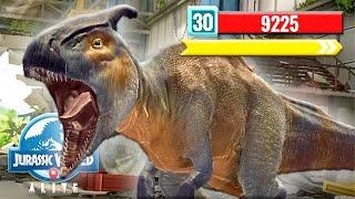 FIGHT vs 9000 HP CONCATOLOCH (JURASSIC WORLD ALIVE)