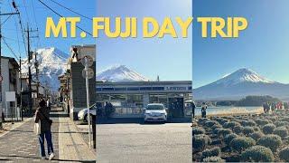 DAY TRIP FROM TOKYO | Mt. Fuji ⊹ Lake Kawaguchiko ⊹ Oishi Park