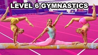 CAN WE PASS LEVEL 6 GYMNASTICS? ft @sophiacampanagymnast