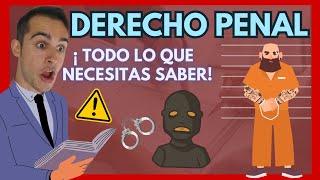  DERECHO PENAL ¿Qué es?【Todo EXPLICADO en Materia Penal】