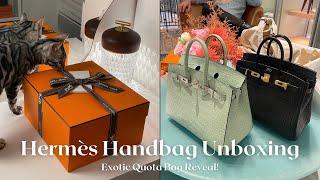 HERMÈS UNBOXING 2024: Exotic Quota Bag Reveal!