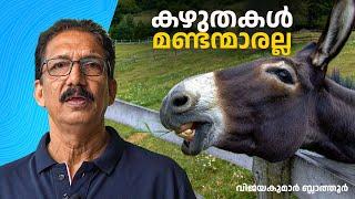 കഴുതകൾ മണ്ടന്മാരല്ല Donkeys are highly brilliant, not a stupid animal. #donkey #കഴുതജീവിതം #animals