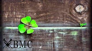 Instrumental traditional Irish music compilation