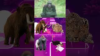 Funny Mammoths x Funny Leopards x Funny Gorilla x Funny Ostriches with Coffin Dance in Tiles Hop