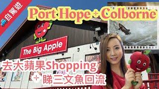  多倫多自駕遊：Colborne大蘋果又玩又買 + Port Hope睇三文魚回流 #多倫多生活 #多倫多旅遊 #多倫多自駕遊 #自駕遊