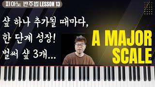 이제는 A메이저 스케일! F# C# G# | 피아노 반주법 레슨13