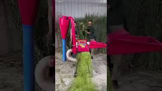 Chaff cutter 2 hp price,chaff cutter machine for dairy farm kutti machine