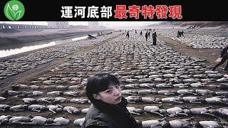 運河乾涸後露出成千上萬具屍體，卻不像人類或已知動物...? 15個在運河底部最奇特的發現【探索旅行號】