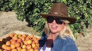 Lisabella's Grapefruit Harvest | Lisabella's Cooking with Taste