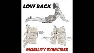 #physiotherapy #anatomy #shoulder #acl #physicalrehabilitation #sports  #aclrecovery