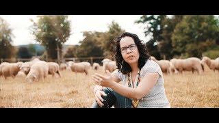 Cabot Institute for the Environment: Food Security