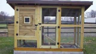 The Best Chicken Coop - Wichita Cabin Coop