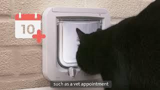 SureFlap® Microchip Cat Flap