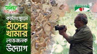 Duck Farming | Shykh Seraj | হাঁসের খামার লাভজনক উদ্যোগ | Channel i