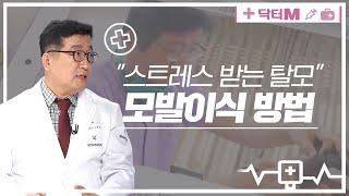 [닥터M] "스트레스 받는 탈모".. 모발이식 방법은?