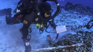 Stunning New Finds on the Antikythera Shipwreck!