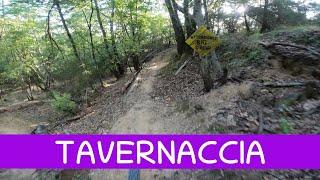 MTB Roveta 17.08.2024 sentiero  TAVERNACCIA - TASSO MORTO