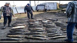 Тургай 2019 Осенний Жор КРУПНОЙ ЩУКИ Рыбалка в Казахстане