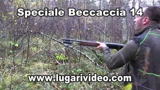 TRAILER tratto dal DVD SPECIALE BECCACCE 14 -PROD.NE LUGARI VIDEO