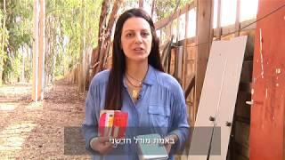 מודל דרך הדלת ביער אפשרויות