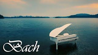 Bach Classical Music for Studying, Concentration, Relaxation | Study Music | Piano Instrumental