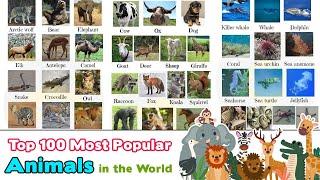 Top 100 Most Popular Animals in the World