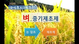 [농사정보] (5월3주)  벼_중기제초제