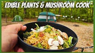 Edible Plants and Mushrooms Cooking Video in Table Rock State Park Branson Missouri