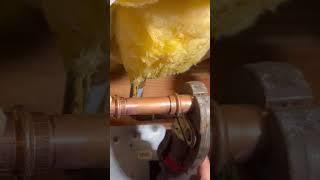 tying a recirculation loop in with expansion pex #plumber #plumbing #pex #propress #copperrepair