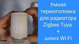 Умная термоголовка на радиатор отопления Tuya, комплект термостат для батареи с шлюзом Zigbee - WiFi