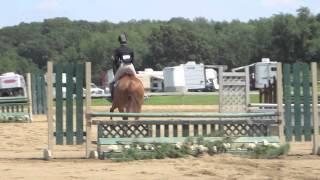 Serendipity 15-17 Junior Hunter Stake