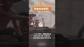 广东小周庄——顺德逢简水乡！
