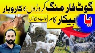 Kiya Goat Farming Floop Business Ha? | Goat Farming |