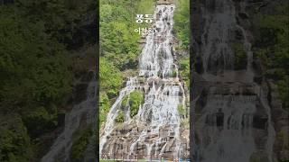 이찬원 풍등 시원한 폭포 같은 목소리 #이찬원 #트로트 #트롯