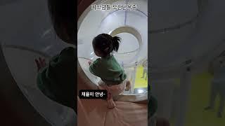 미끄럼틀 백만스물두번째 타는중 #25개월아기  #미끄럼틀