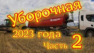 Уборочная страда 2023 года. Часть 2. Работаем на 1 отделении.