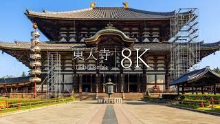 [World Heritage] Visit Todai-ji Temple and Kasuga Taisha Shrine - JAPAN in 8K