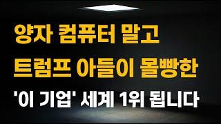 [주식] 양자 컴퓨터 말고 트럼프 아들이 몰빵한 '이 기업' 세계 1위 됩니다.[양자컴퓨터관련주, 양자컴퓨터대장주, 아이온큐목표가, IONQ전망, 2025년주식]