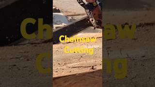 Woodcutting by chainsaw #satisfying #shortsvideo #shortvideo
