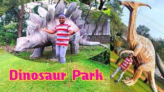 Bougainvillea Park | Ficus & Bougainvillea Park Bajara Hills | Dinosaur Park | local 92 vlog