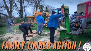 ALL HANDS ON DECK ! | PROCESSING TIMBER