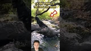 CÁ SẤU KHỔNG LỒ TẤN CÔNG CON NGƯỜI #shortvideo #shorts #short
