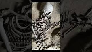 Giant Human Skeleton found in Ireland #gianthumanskeleton #humangiants #bones #skull