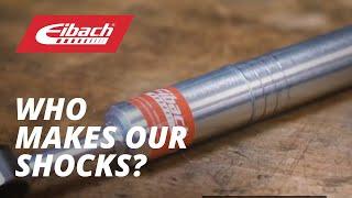 Who makes Eibach PRO-TRUCK shocks?